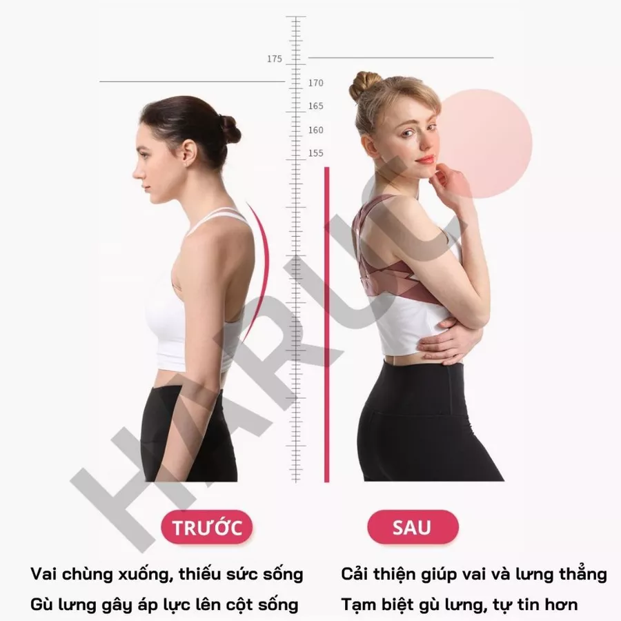 Đai Lưng Chống Gù Nâng Đỡ Vòng Một Haruco HRC-06-7