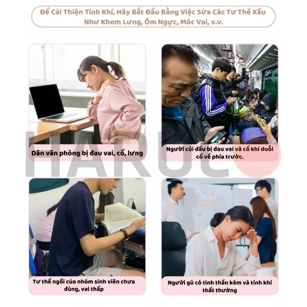 Đai Lưng Chống Gù Haruco HRC-06-2
