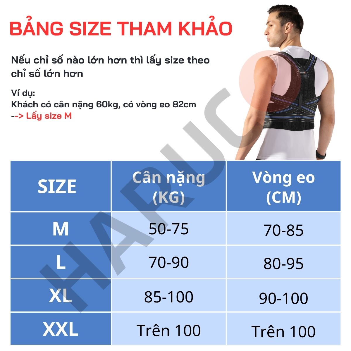 Đai Lưng Chống Gù Cao Cấp Haruco HRC-06-8