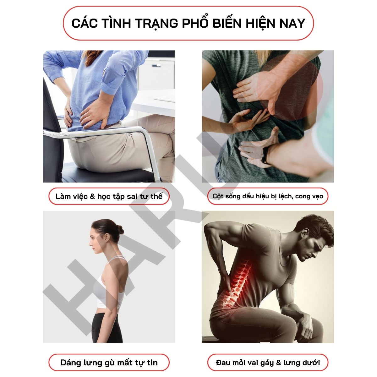 Đai Lưng Chống Gù Cao Cấp Haruco HRC-06-8