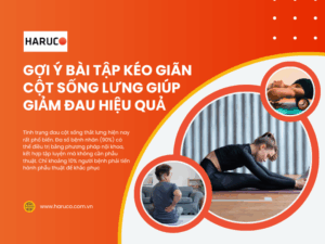 Gợi ý bài tập kéo giãn cột sống lưng giúp giảm đau hiệu quả