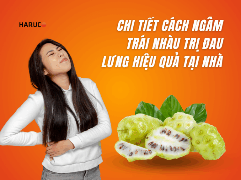 Cách ngâm trái nhàu trị đau lưng hiệu quả tại nhà chi tiết