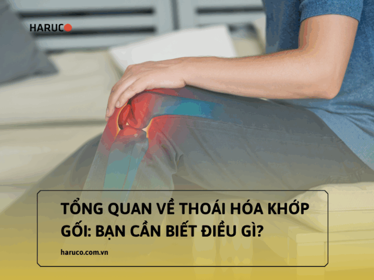 Tổng quan về thoái hóa khớp gối: Nguyên nhân, triệu chứng và cách điều trị