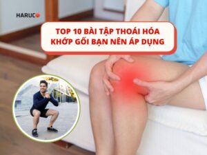 Top 10+ bài tập thoái hóa khớp gối bạn nên áp dụng