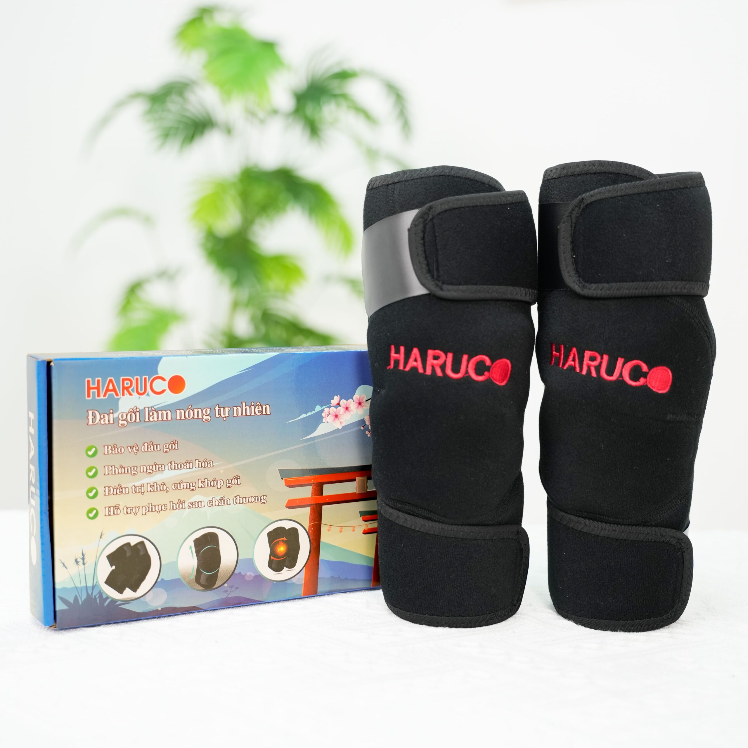 Đai Gối Đá Nóng Haruco HRC-08-4