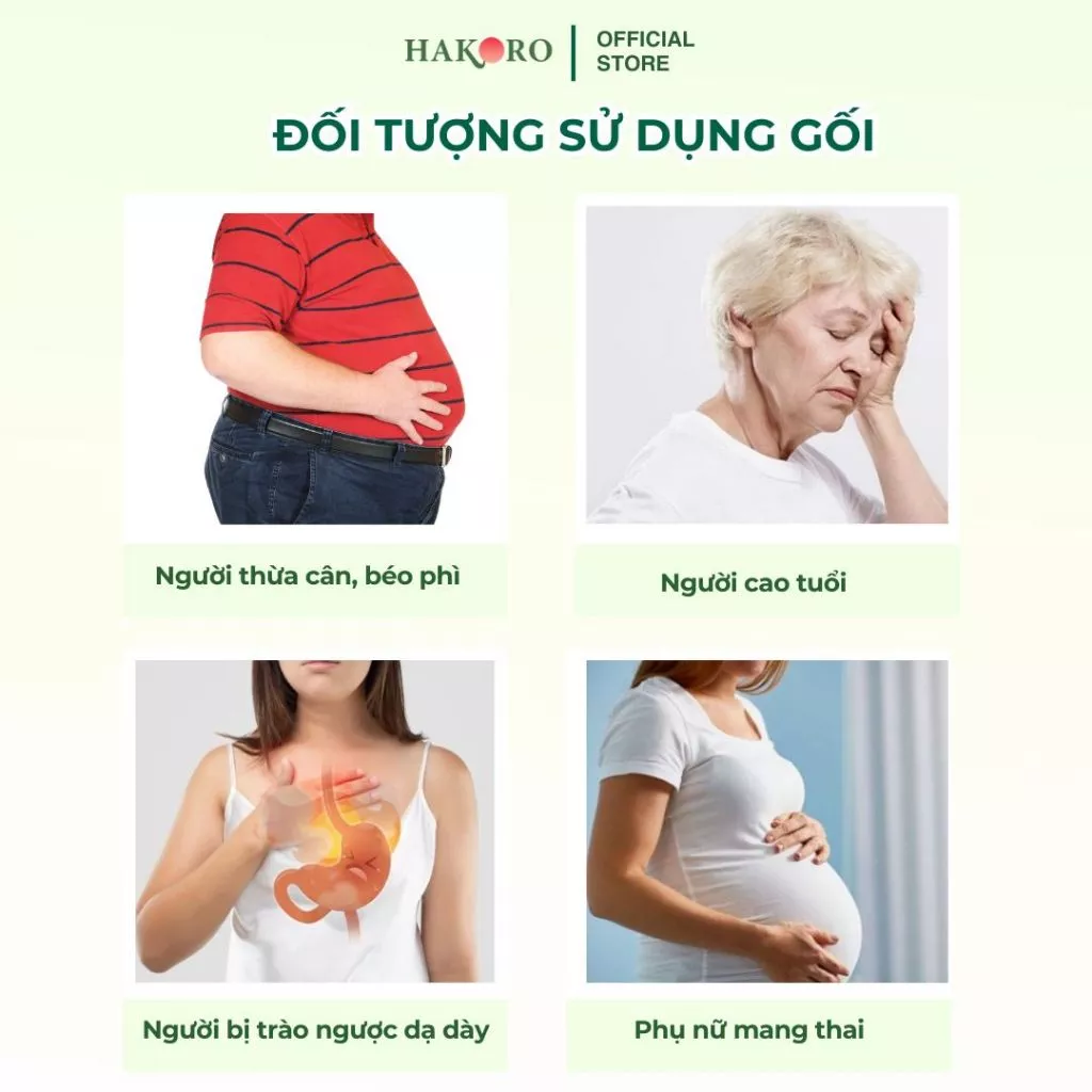 Gối Chống Trào Ngược Hakoro