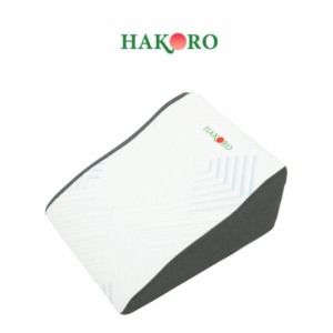 goi-ke-chan-hakoro