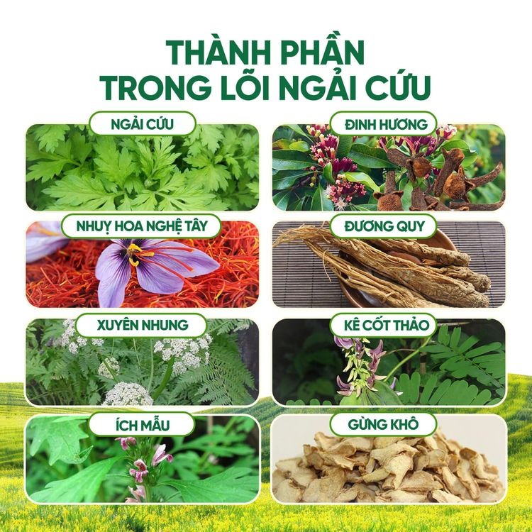Thảm Ngải Cứu Đông Y Haruco HRC-99-3