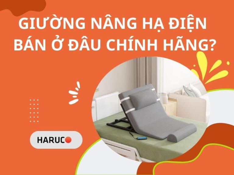 Giường nâng hạ điện bán ở đâu chính hãng?