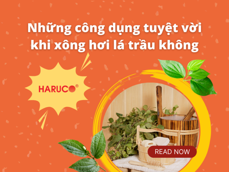 Những công dụng tuyệt vời khi xông hơi lá trầu không