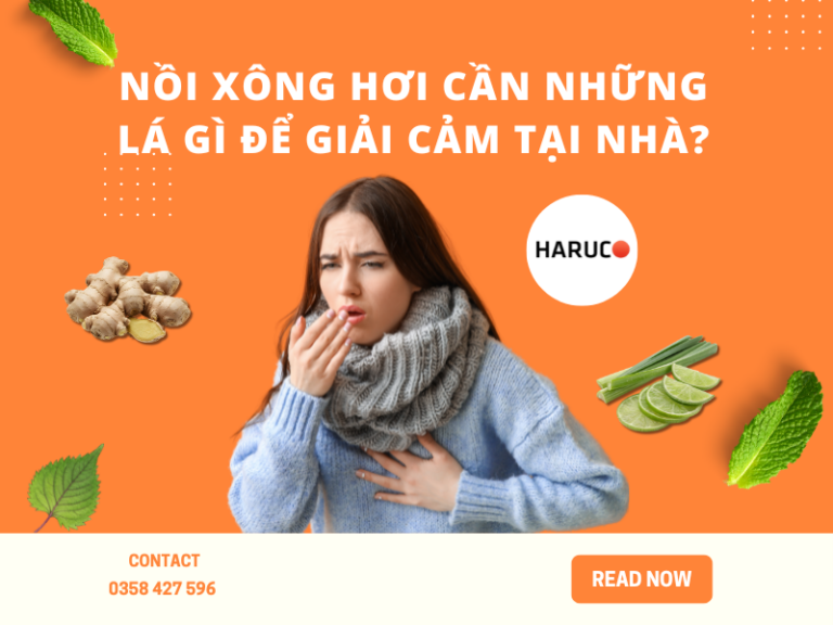 Nồi xông hơi cần những lá gì để giải cảm tại nhà?