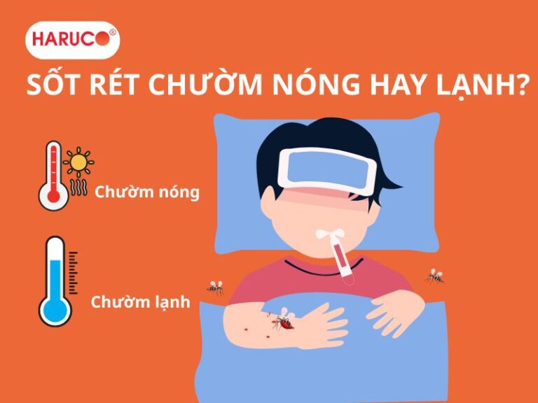 Sốt rét chườm nóng hay lạnh? Cách làm giảm sốt rét nhanh nhất