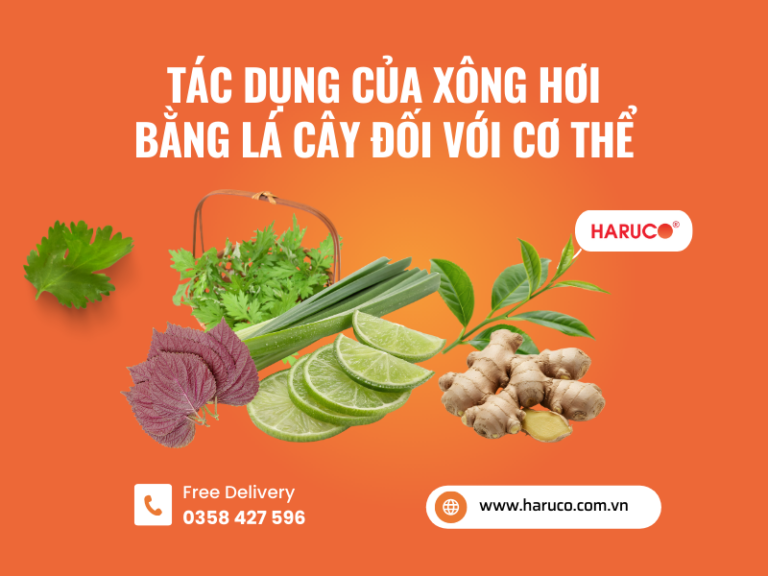 Tác dụng của xông hơi bằng lá cây đối với cơ thể