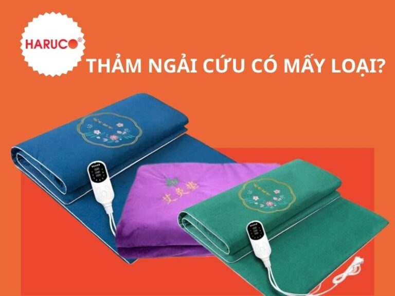 Thảm ngải cứu có mấy loại? Phân biệt từng loại