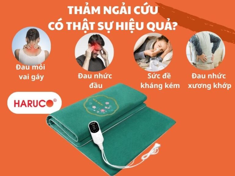 Thảm ngải cứu có thật sự hiệu quả? Đánh giá chi tiết