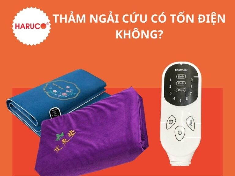 [Giải đáp thắc mắc] Thảm ngải cứu có tốn điện không?