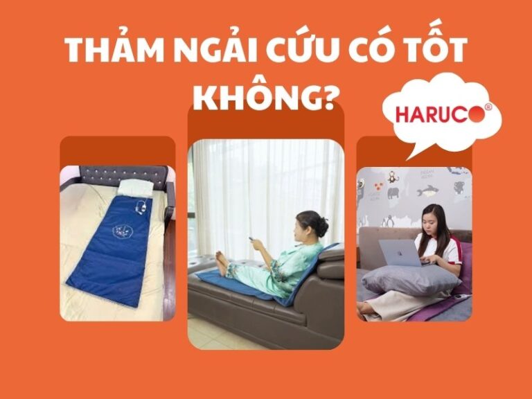 Thảm ngải cứu có tốt không? Lợi ích khi sử dụng