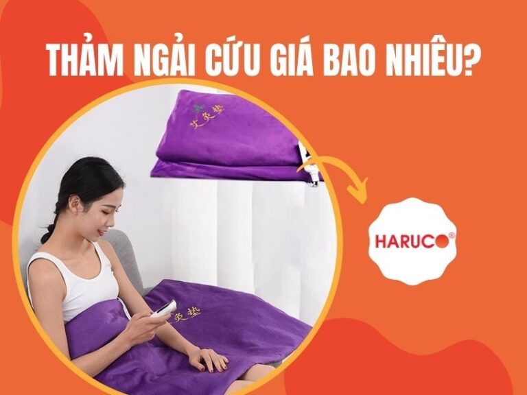 Thảm ngải cứu giá bao nhiêu? Gợi ý sản phẩm nên mua hiện nay