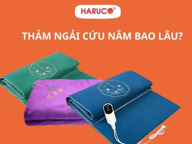 Thảm ngải cứu nằm bao lâu? Tần suất sử dụng trong ngày