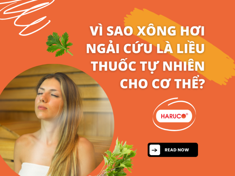 Vì sao xông hơi ngải cứu là liều thuốc tự nhiên cho cơ thể?