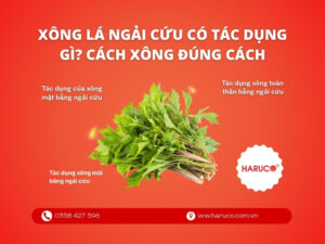 Xông lá ngải cứu có tác dụng gì? Cách xông đúng cách