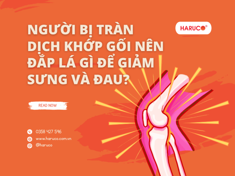 Người bị tràn dịch khớp gối nên đắp lá gì để giảm sưng và đau?