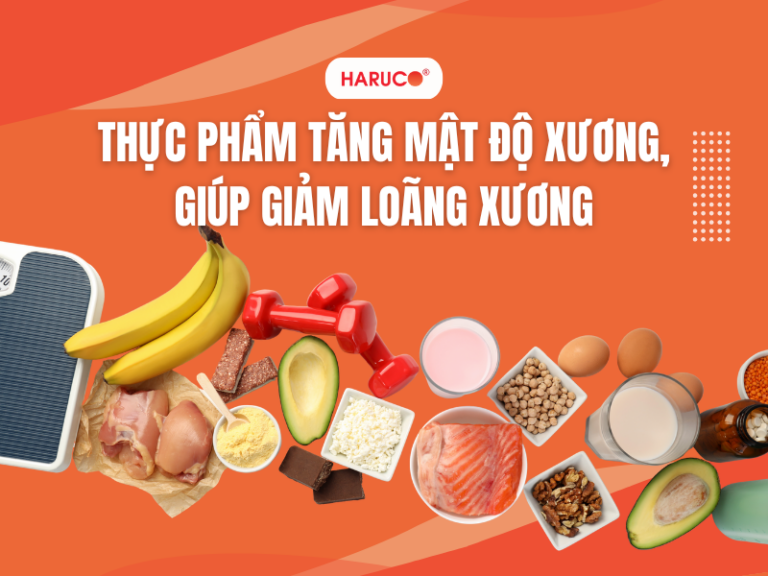 Những thực phẩm tăng mật độ xương, hỗ trợ phòng ngữa loãng xương