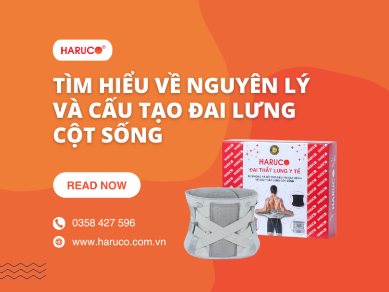 Nguyên lý và cấu tạo đai lưng cột sống như thế nào?
