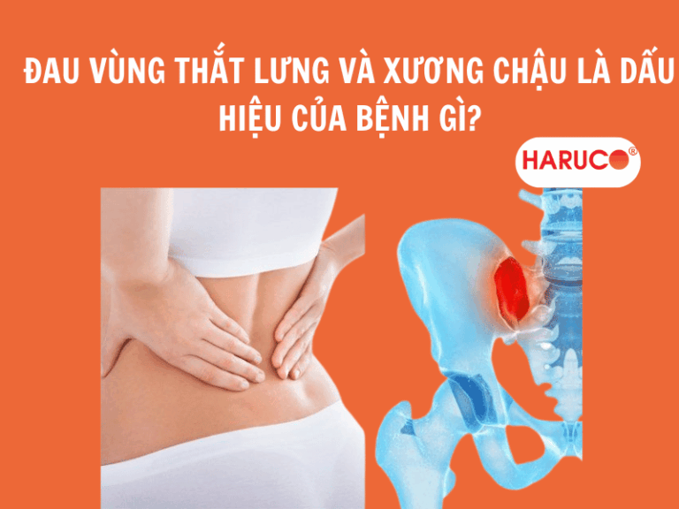Đau vùng thắt lưng và xương chậu là dấu hiệu của bệnh gì?