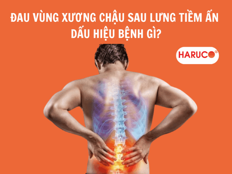 Đau vùng xương chậu sau lưng tiềm ẩn dấu hiệu bệnh gì?