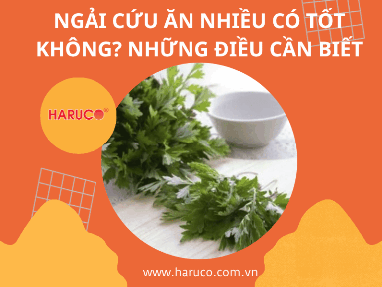 Ngải cứu ăn nhiều có tốt không? Những điều cần biết