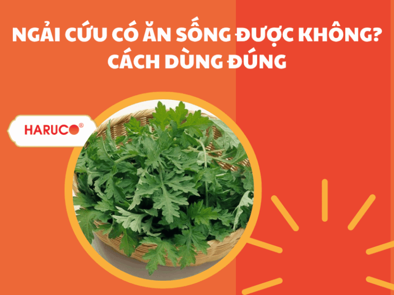Ngải cứu có ăn sống được không? Cách dùng đúng
