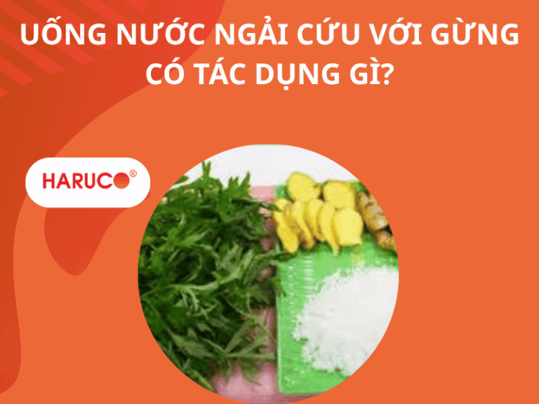 Uống nước ngải cứu với gừng có tác dụng gì?