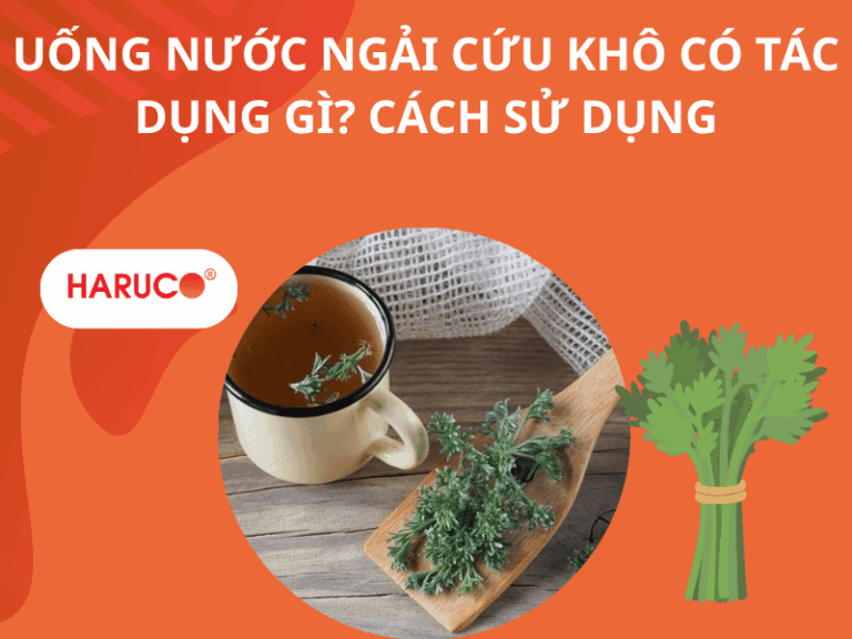 Uống nước ngải cứu khô có tác dụng gì? Cách sử dụng
