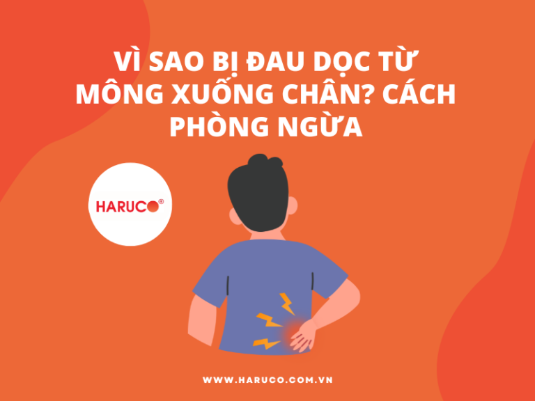 Vì sao bị đau dọc từ mông xuống chân? Cách phòng ngừa